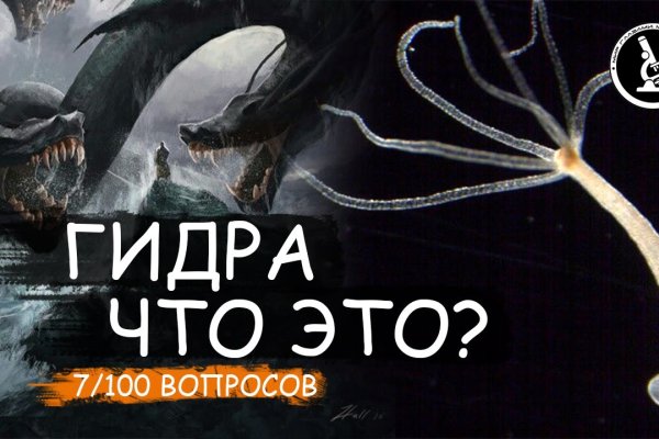 Современный маркетплейс kraken door