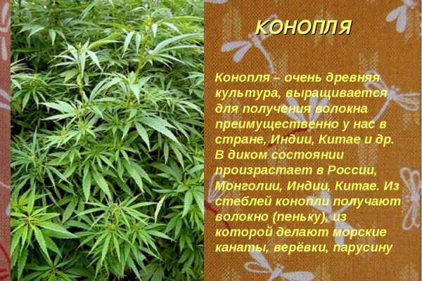 Кракен сайт store